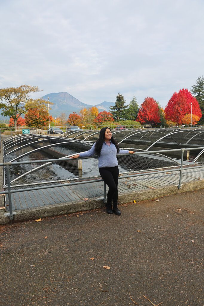 Mt Hood and the Columbia River Gorge