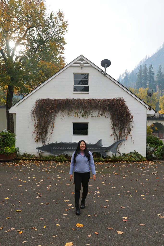 Mt Hood and the Columbia River Gorge