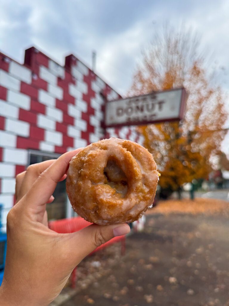 Mt Hood and the Columbia River Gorge