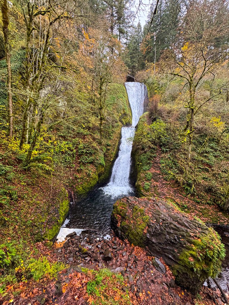 Mt Hood and the Columbia River Gorge