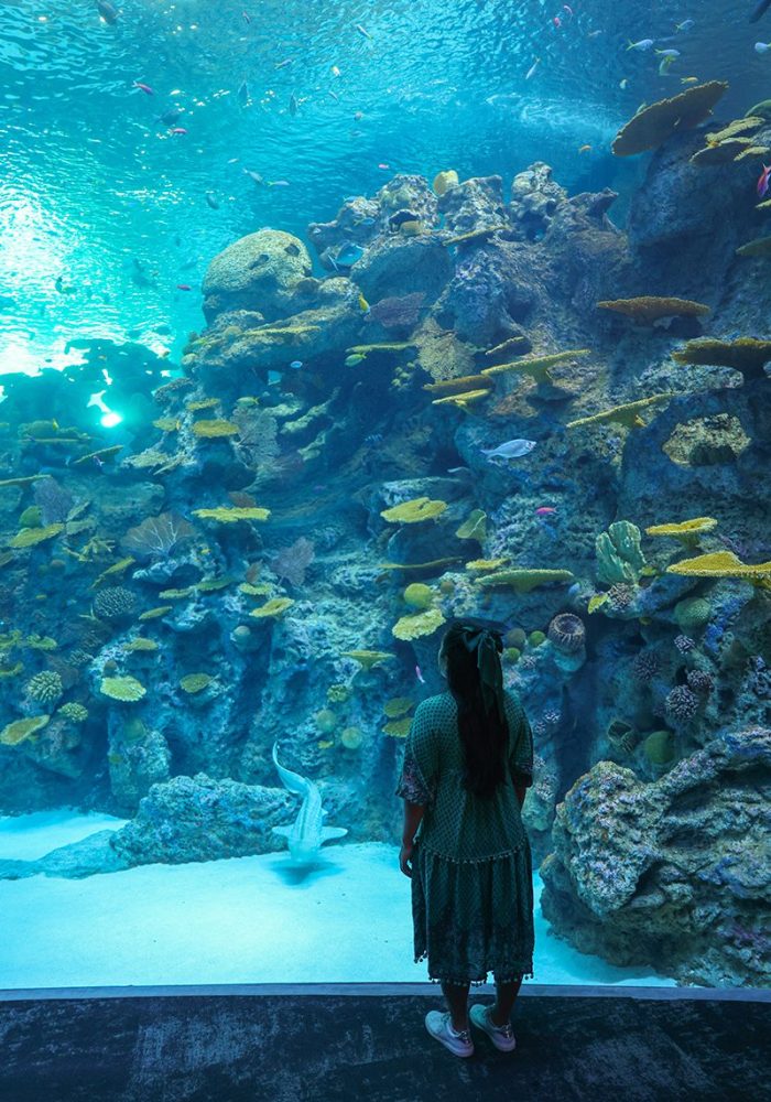 Seattle Aquarium