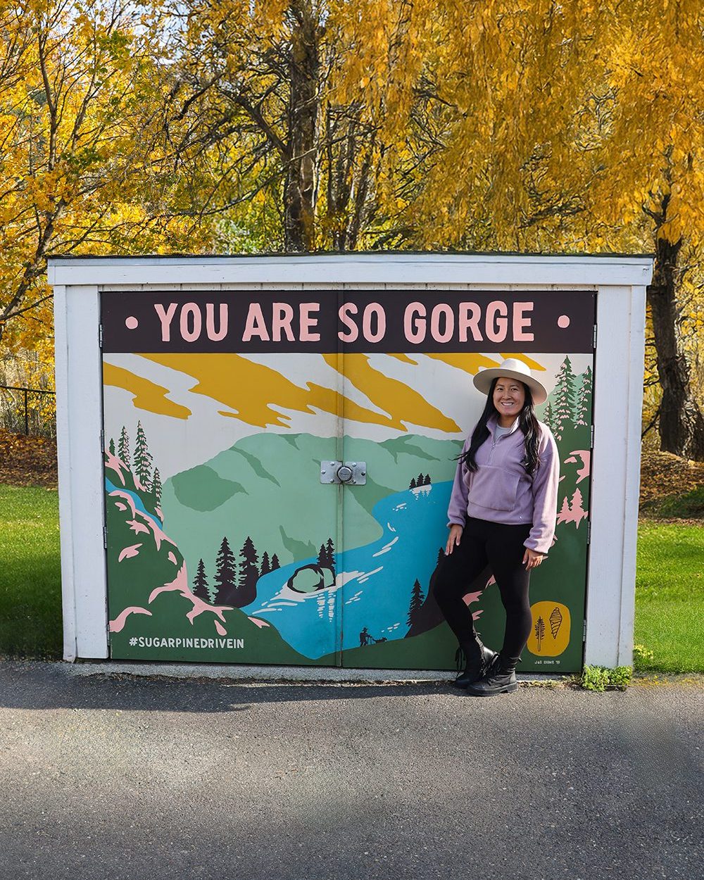 Mt Hood and the Columbia River Gorge