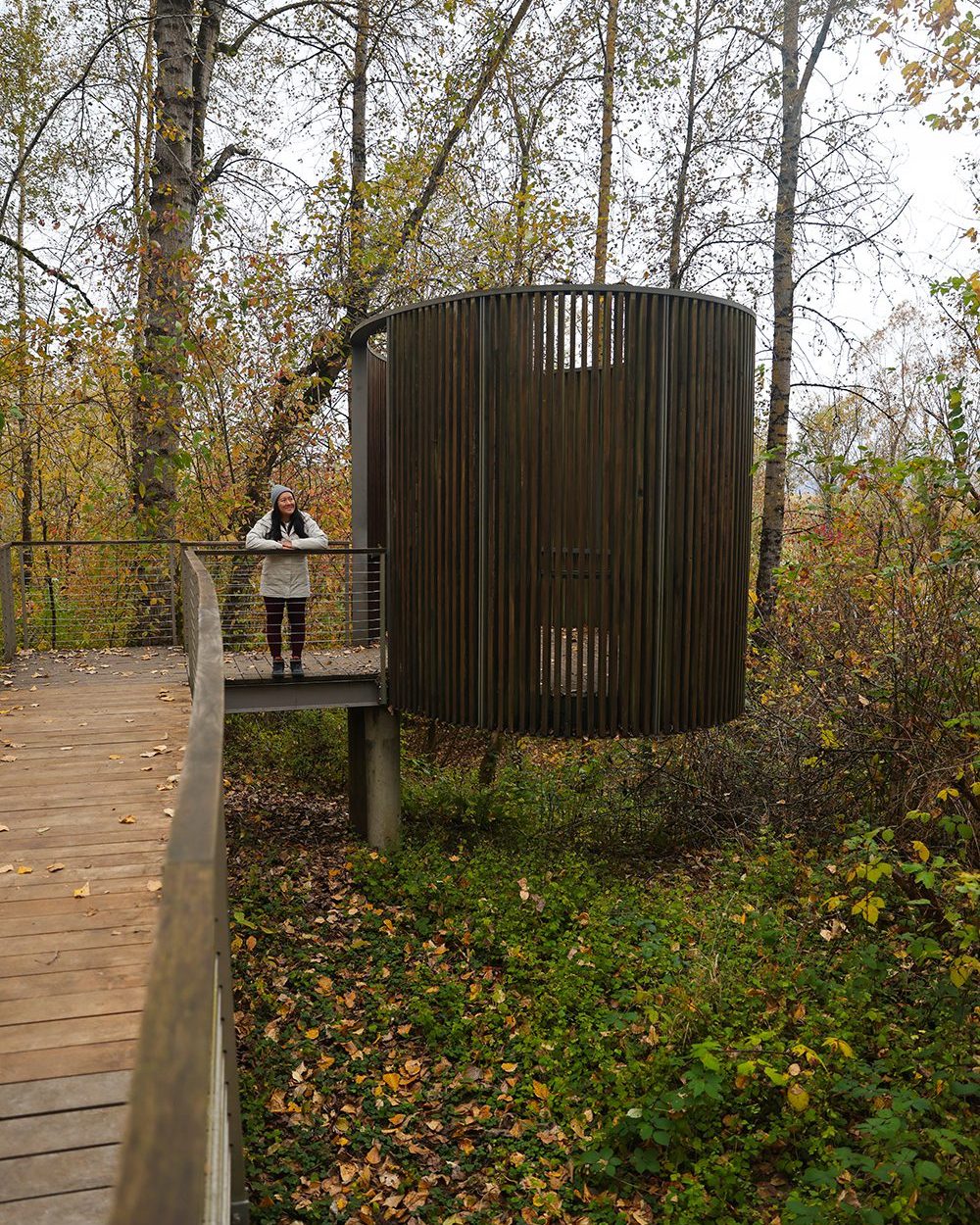 Mt Hood and the Columbia River Gorge