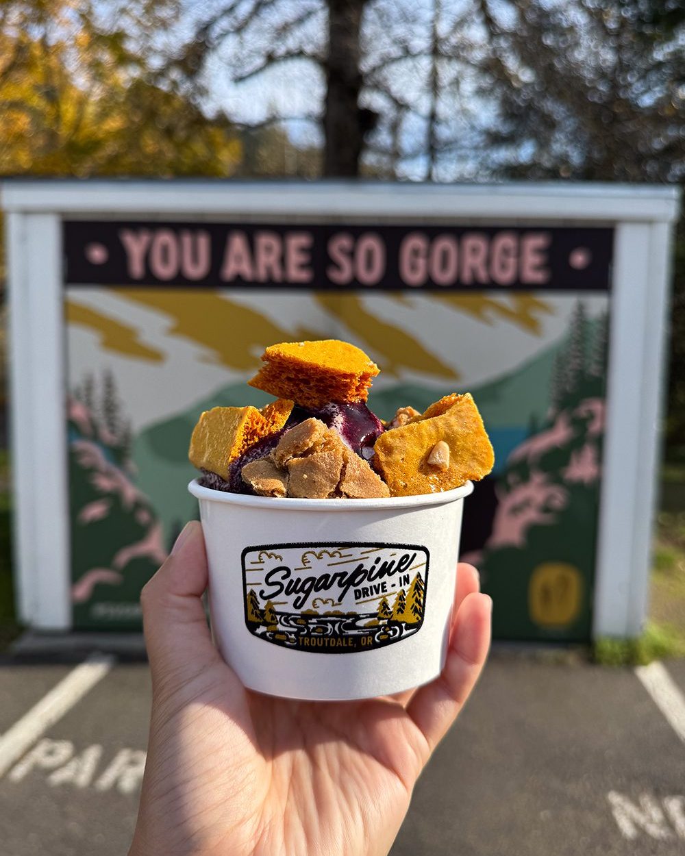 Mt Hood and the Columbia River Gorge