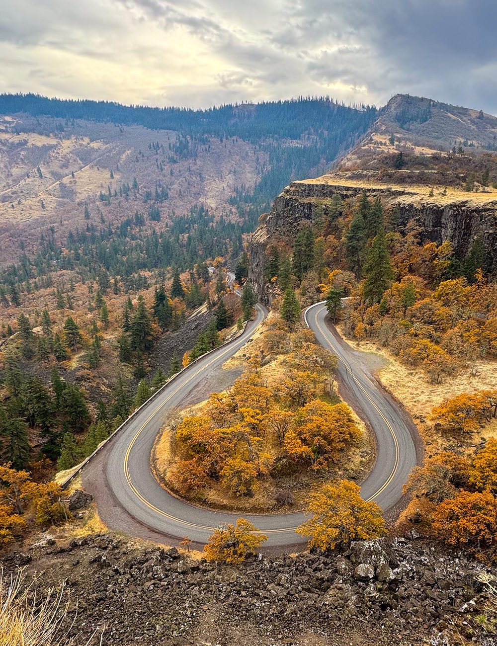 Mt Hood and the Columbia River Gorge