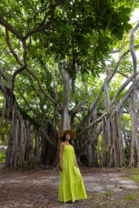 Hugh Taylor Birch State Park, Fort Lauderdale, Florida